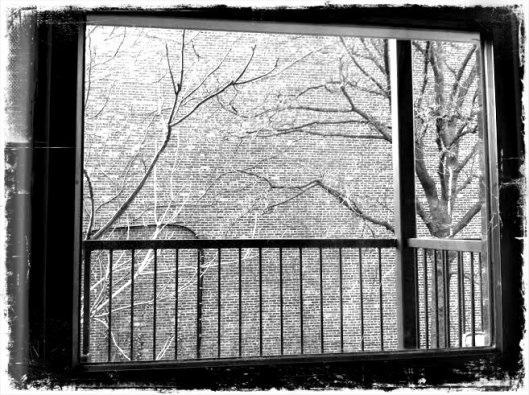 winter window2